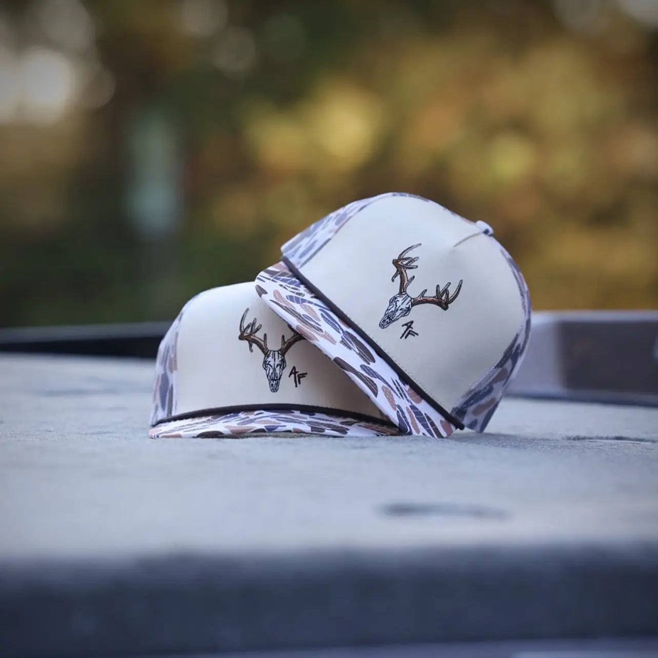 European Skull - Old School